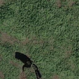 Satellite imagery of Macnicol Point, CA