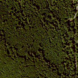 Satellite imagery of Laufskopf, DE