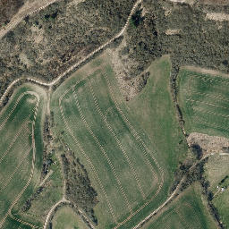 Satellite imagery of Pfaffschwender Kuppe, DE