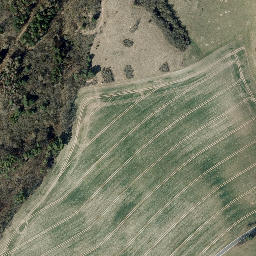 Satellite imagery of Pfaffschwender Kuppe, DE