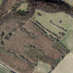 Satellite imagery of Eichberg, DE
