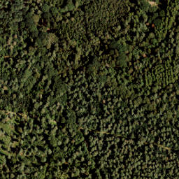 Satellite imagery of 424-A, NL