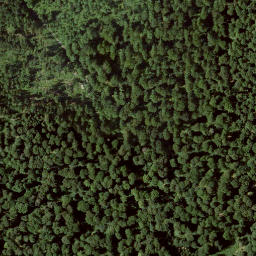 Satellite imagery of Emserberg, DE
