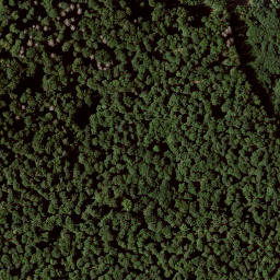 Satellite imagery of Emserberg, DE