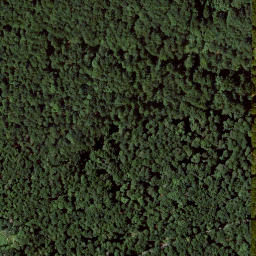 Satellite imagery of Laufskopf, DE