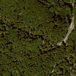 Satellite imagery of Langenberg, DE