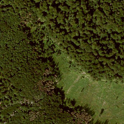 Satellite imagery of Langenberg, DE