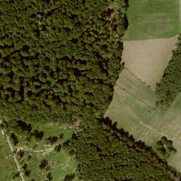 Satellite imagery of Langenberg, DE