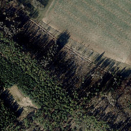 Satellite imagery of Rollsberg, DE