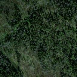 Satellite imagery of Mount Grant, CA