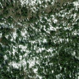 Satellite imagery of MountBorthwick, CA