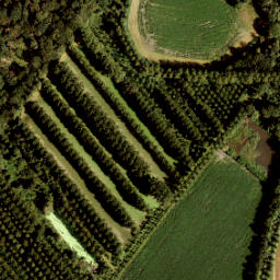 Satellite imagery of 170a, NL