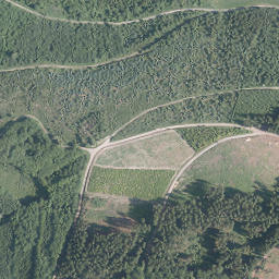 Satellite imagery of Ehsenberg, DE