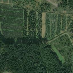 Satellite imagery of Zwellenberg, DE