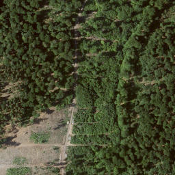 Satellite imagery of Hinterer Kronberg, DE
