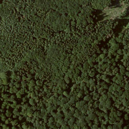 Satellite imagery of Hinterer Kronberg, DE