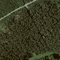 Satellite imagery of Dachsberg, DE