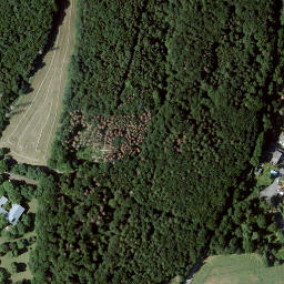 Satellite imagery of Niedensteiner Kopf, DE