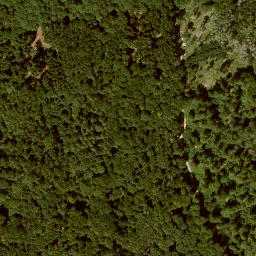 Satellite imagery of Langenberg, DE