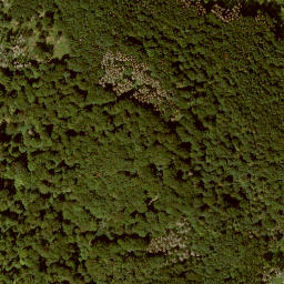 Satellite imagery of Langenberg, DE