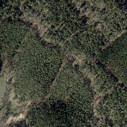 Satellite imagery of Rollsberg, DE