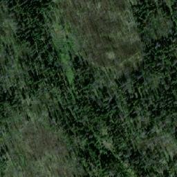 Satellite imagery of Mount Grant, CA