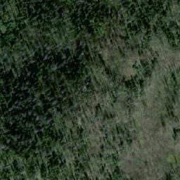 Satellite imagery of Mount Grant, CA