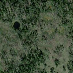 Satellite imagery of Mount Grant, CA