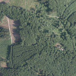Satellite imagery of Ehsenberg, DE