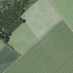 Satellite imagery of Großer Dornberg, DE