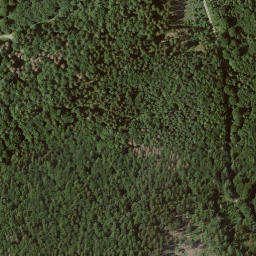 Satellite imagery of Rauschberg, DE