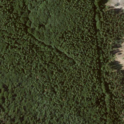 Satellite imagery of Rauschberg, DE
