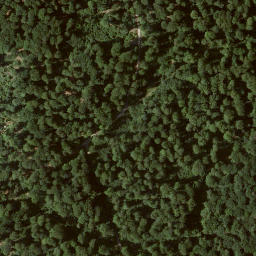 Satellite imagery of Hinterer Kronberg, DE