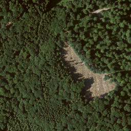 Satellite imagery of Dachsberg, DE
