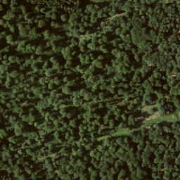 Satellite imagery of Dachsberg, DE