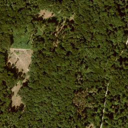 Satellite imagery of Langenberg, DE