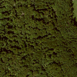 Satellite imagery of Langenberg, DE