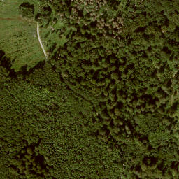 Satellite imagery of Langenberg, DE