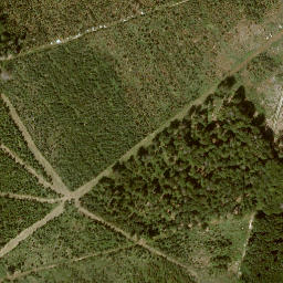 Satellite imagery of Warpel, DE