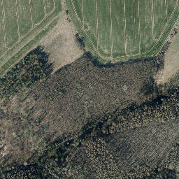 Satellite imagery of Sommerberg, DE