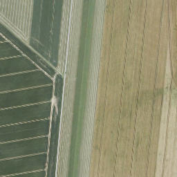 Satellite imagery of Mühlberg, DE