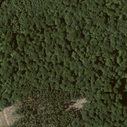 Satellite imagery of Dachsberg, DE