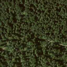 Satellite imagery of Dachsberg, DE