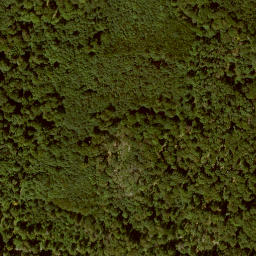 Satellite imagery of Bilstein, DE