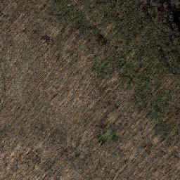 Satellite imagery of Meinhard, DE