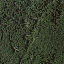 Satellite imagery of Großer Dornberg, DE