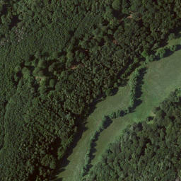 Satellite imagery of Großer Dornberg, DE