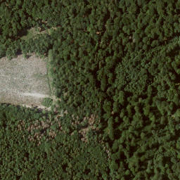Satellite imagery of Sandkopf, DE