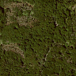 Satellite imagery of Bilstein, DE