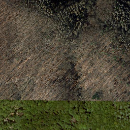 Satellite imagery of Meinhard, DE